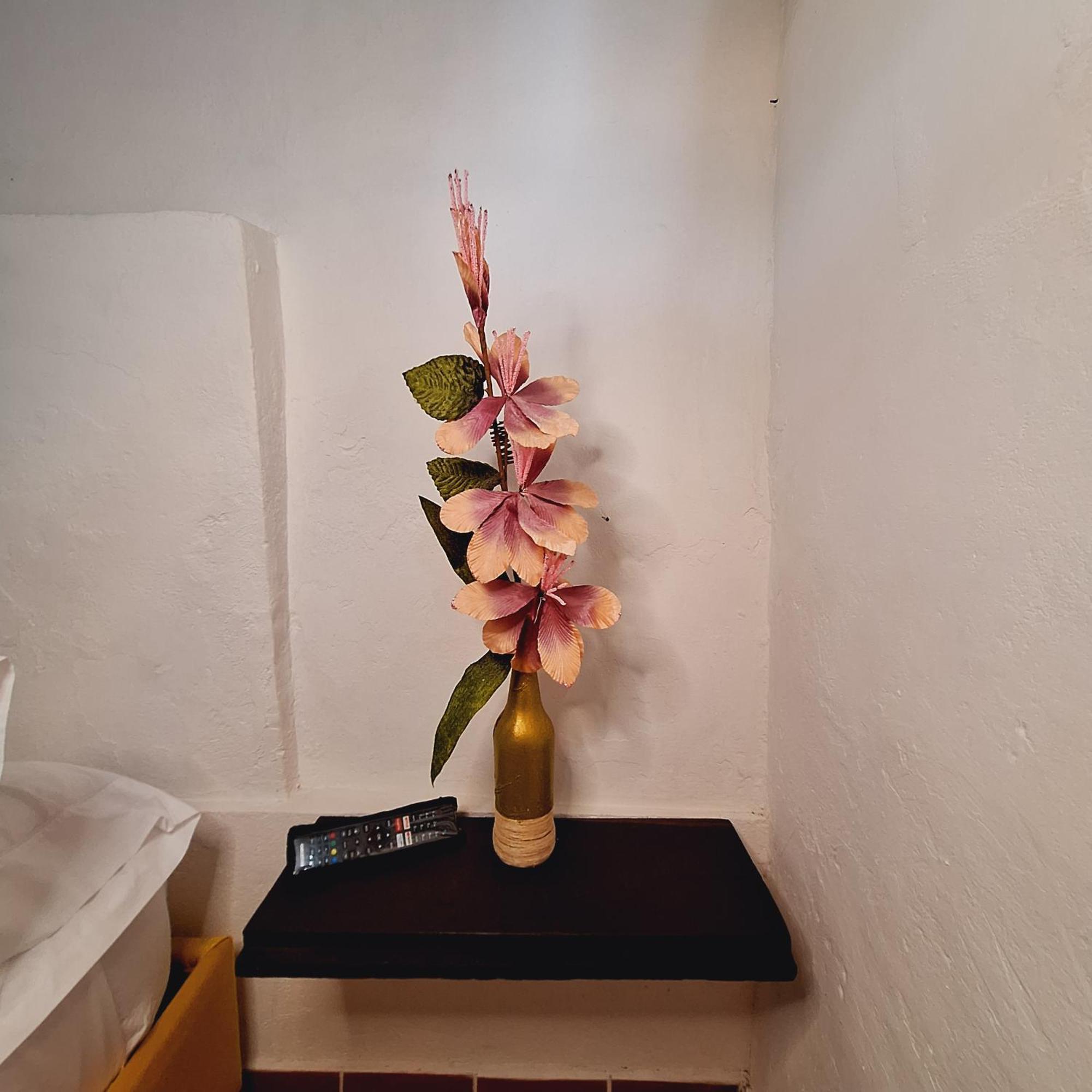 Hostal Colombian Gold San Gil Exterior photo